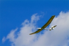 Adam's Sagitta in flight.