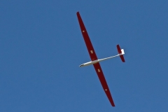 A large electric in flight.