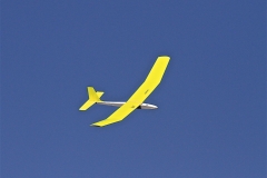 Ann's plane aloft