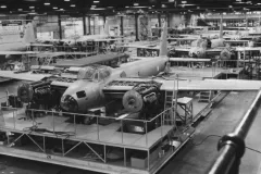 1_p_mosquito5-complete