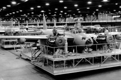 DOWNSVIEW-MosquitoFactory-SMM_2