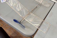 IMG_8868